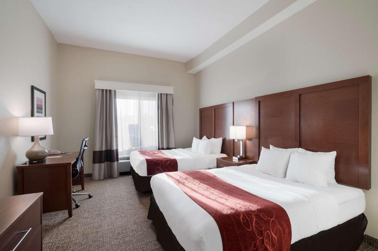 Comfort Suites Suffolk - Chesapeake מראה חיצוני תמונה