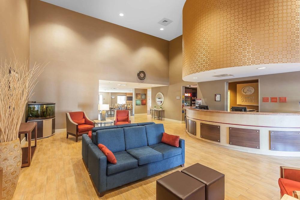 Comfort Suites Suffolk - Chesapeake מראה חיצוני תמונה